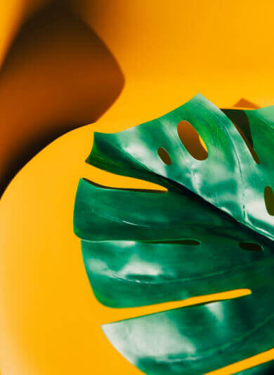 React Creative Agency